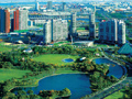 Binhai forum: Focusing on eco-development